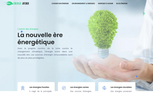 https://www.energie-avenir.com