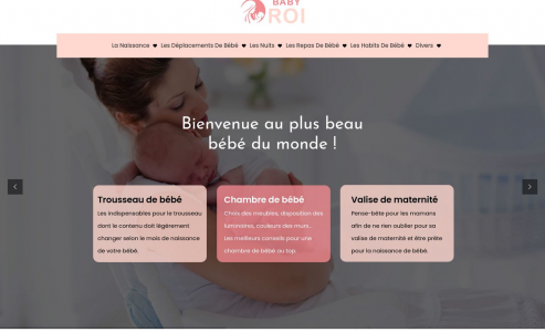 https://www.babyroi.fr