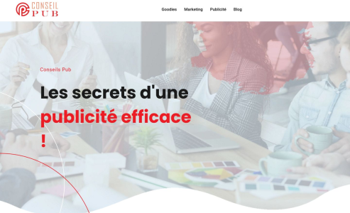 https://www.conseil-pub.com